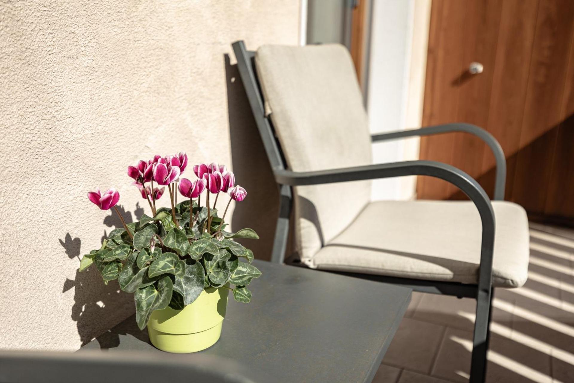 Apartments Soval Santa Cristina Val Gardena Екстериор снимка